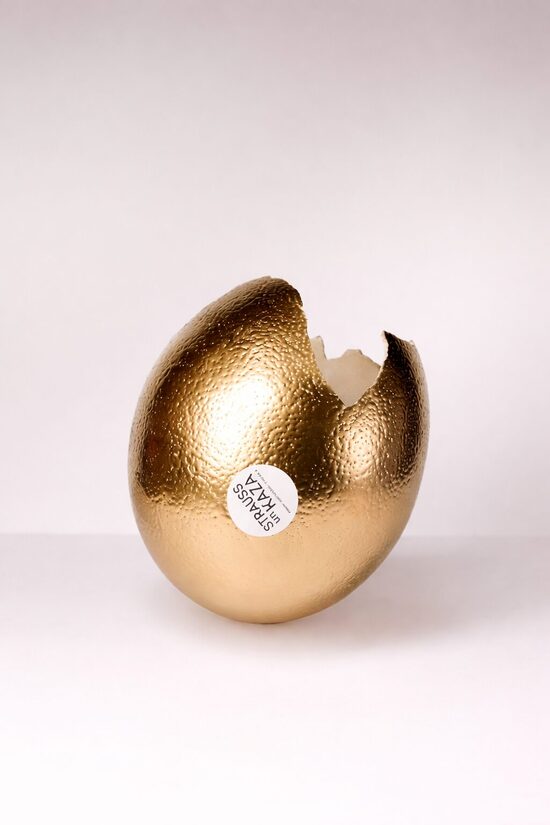 Strauca olas čaumala -dizaina dāvana